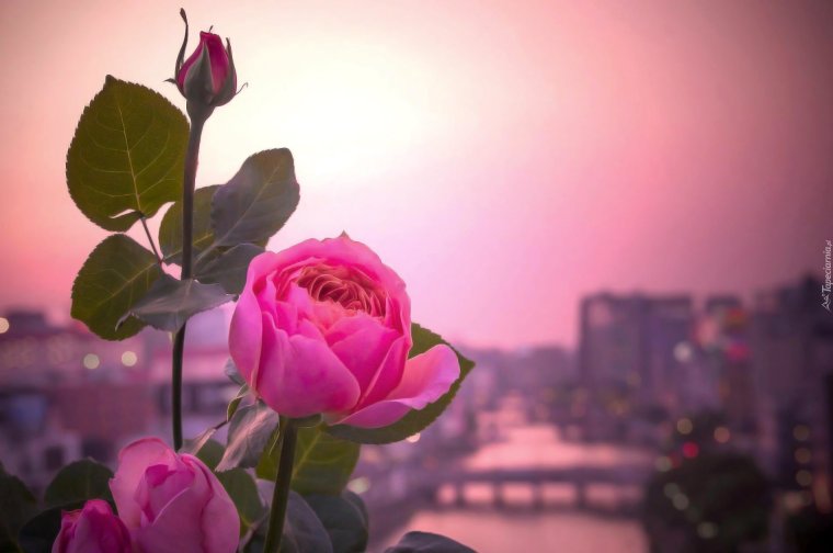 Христианские высказывания