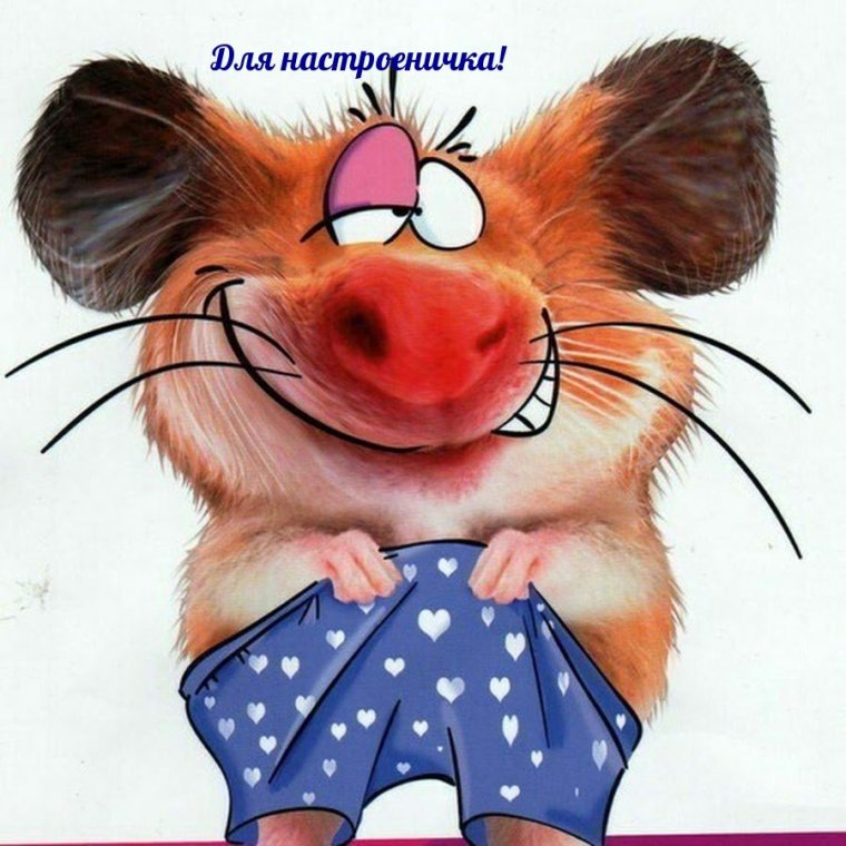 Смешные открытки