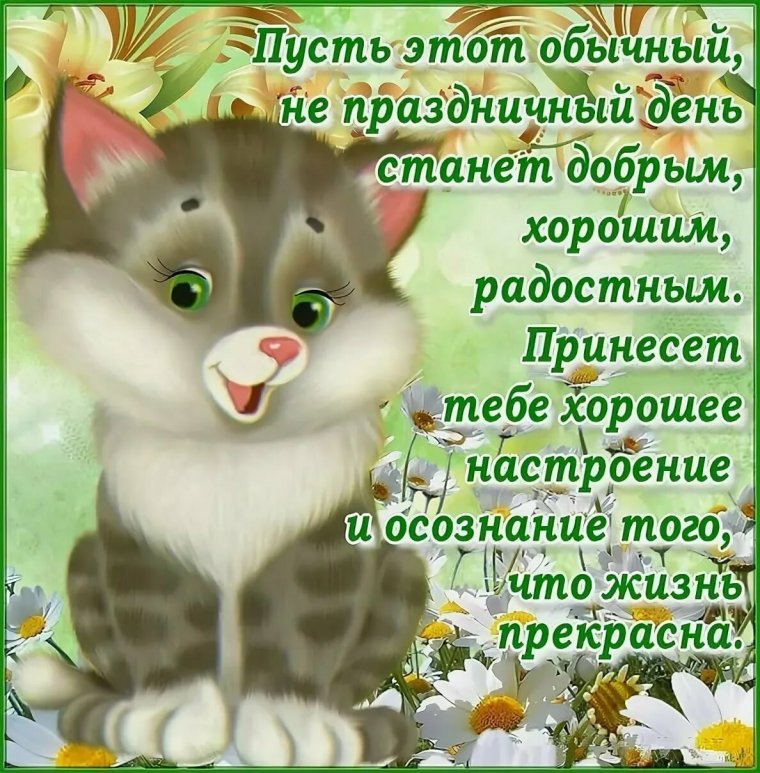 Позитивные пожелания на день