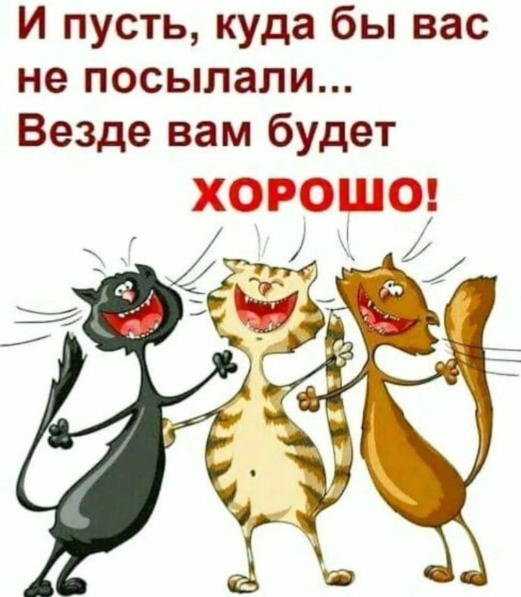 Веселые открытки