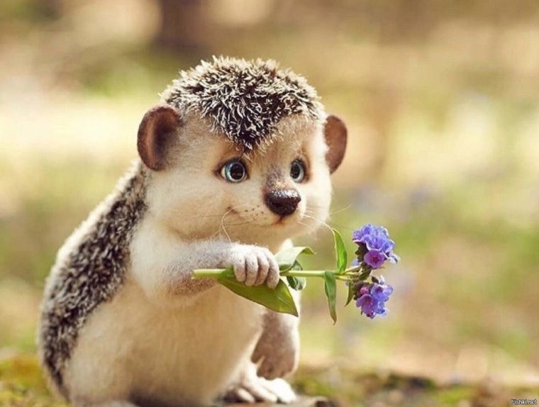 Позитивные картиночки для настроения