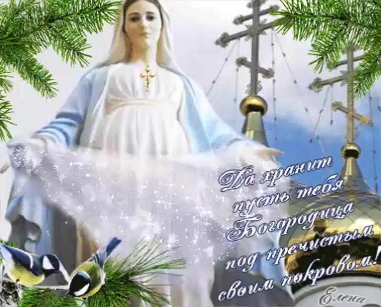 Пусть Святая Богородица вас хранит открытка
