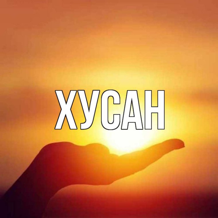 Милые ромашки