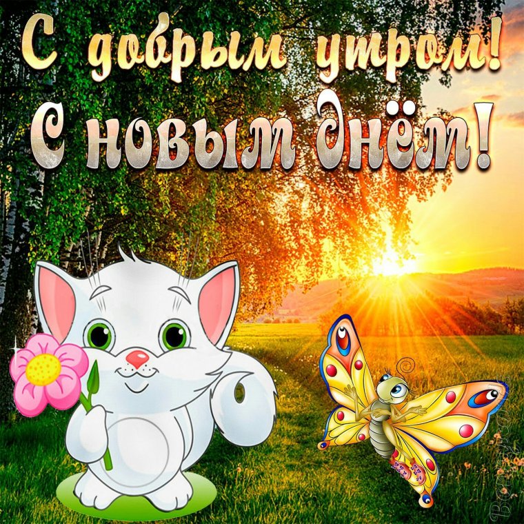 Сдобрым утромсолнышка