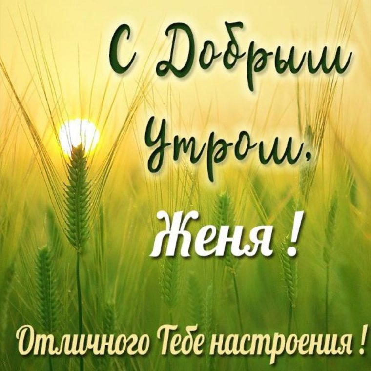 Доброе утро внученька