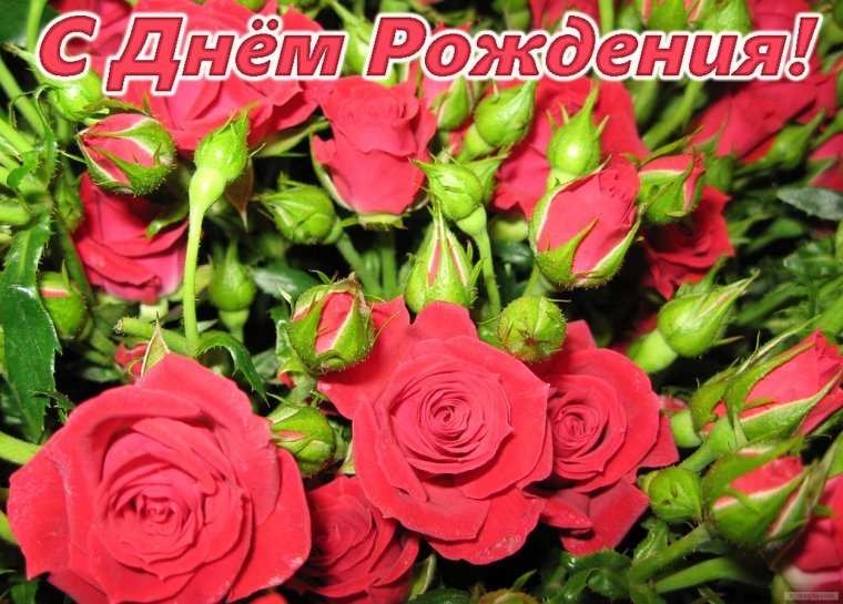 Поздравления с днём рождения