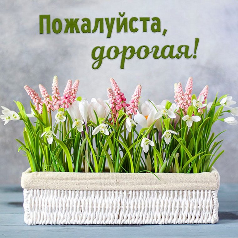 Открытка с пожалуйста дорогая