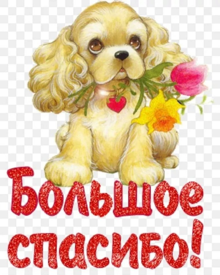 Открытки улыбнись