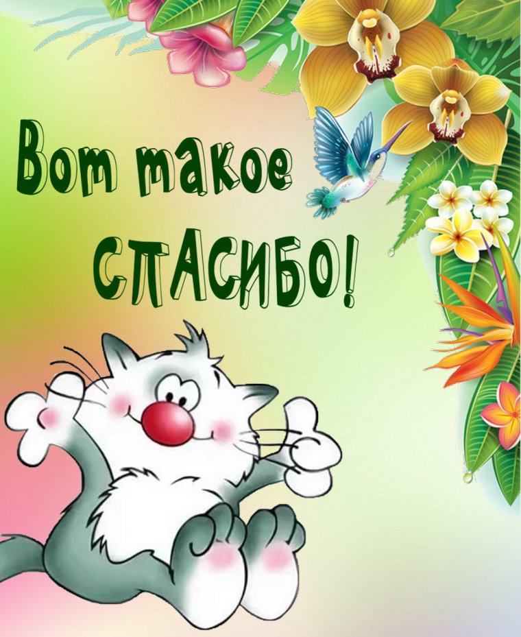 Спасибо котик с цветами
