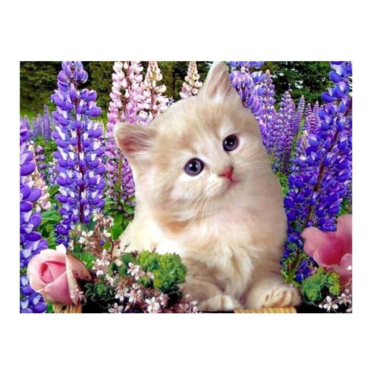 Открытки с благодарностью