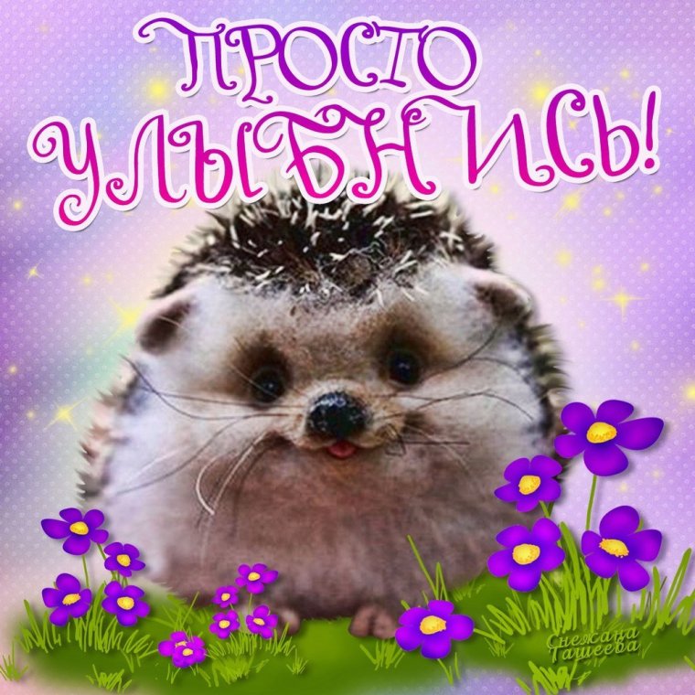 Открытки доброй ночи прикольные