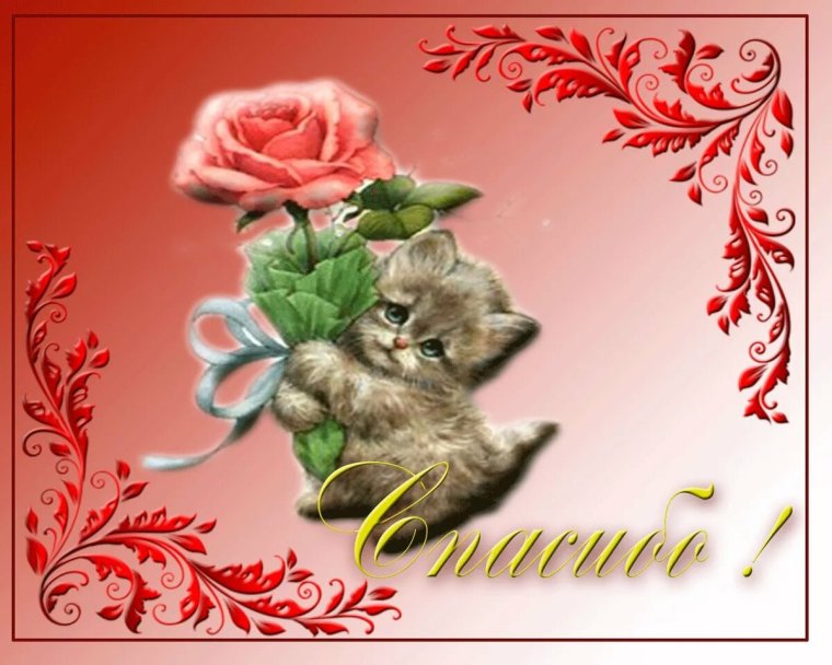 Кот в сапогах Шрек