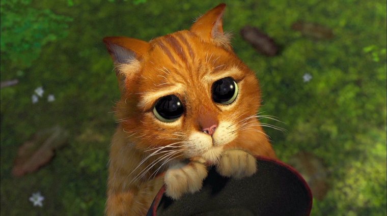 Открытка с днём рождения с ежиком