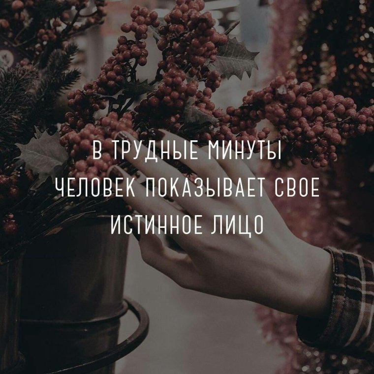 Топовые цитаты