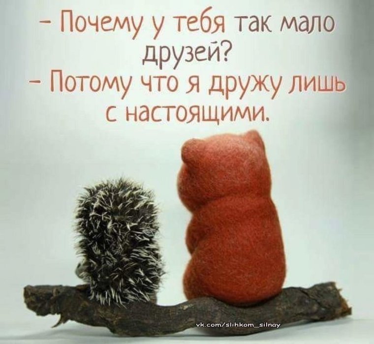 Поддерживающие фразы