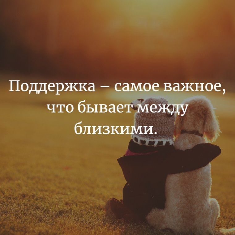 Высказывания про поддержку