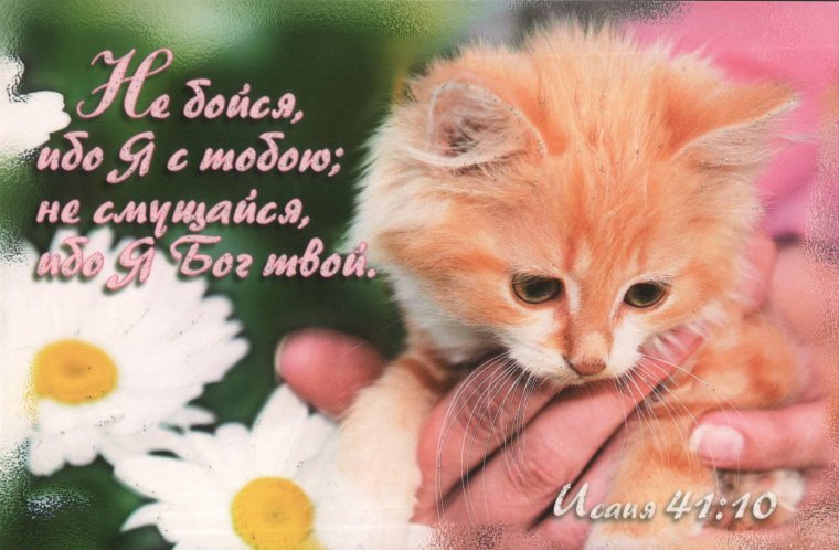 Открытка поддержать подругу