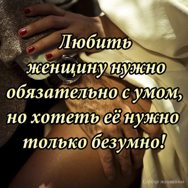 Любовь и поддержка цитаты