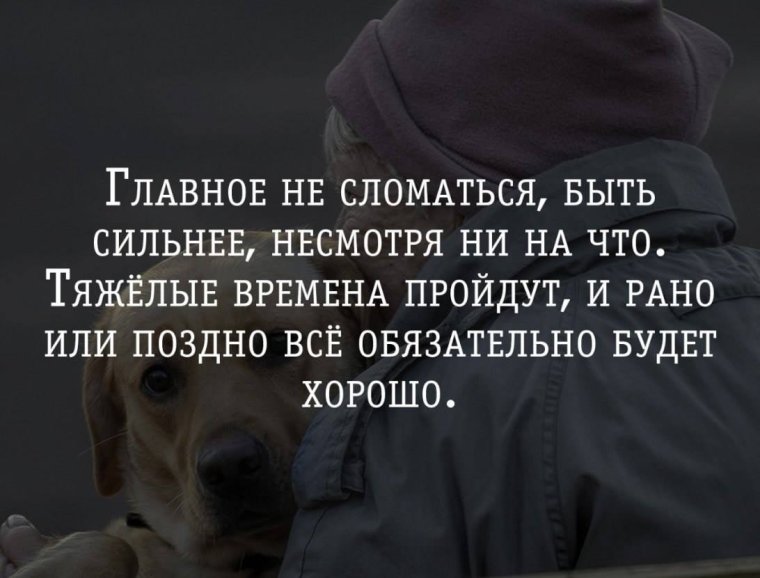 Афорищмыпро поддержку