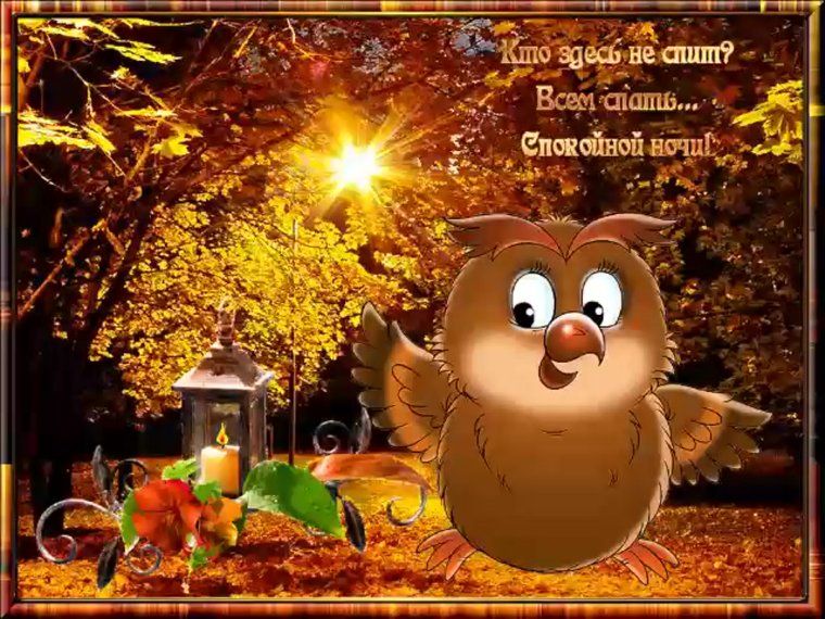 Спокойной о енней ночи