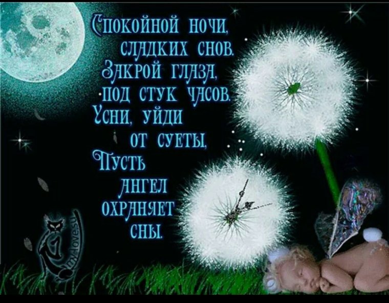 Спокойной ночи сладких снов стихи