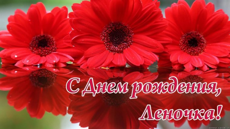 Светлана Алексеевна с днем рождения