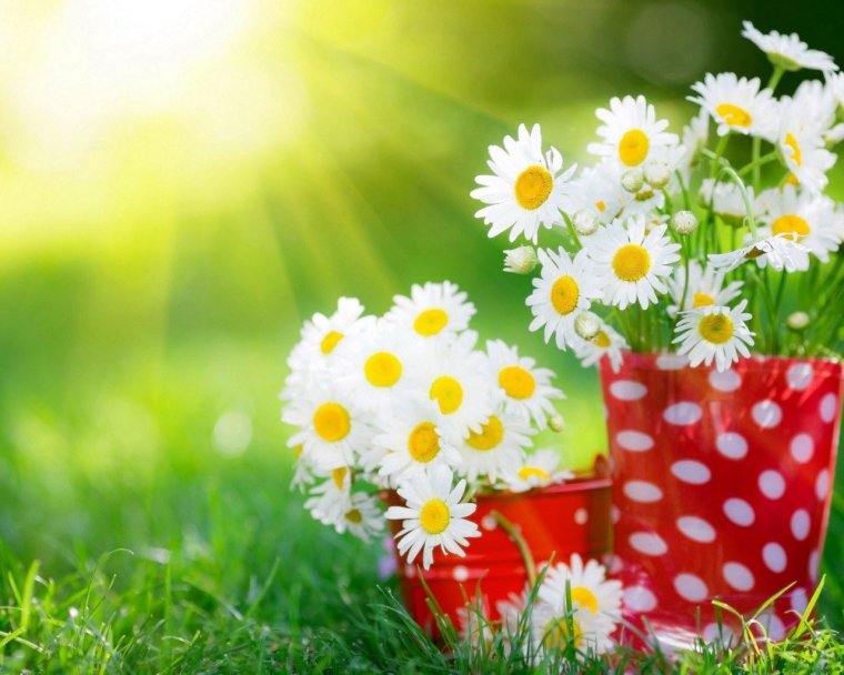 С днём рождения Людмила