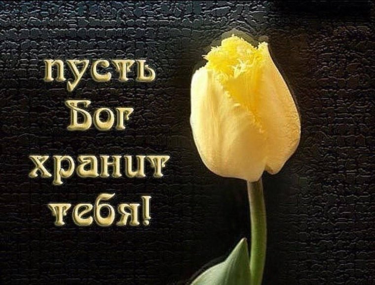 Пусть Бог хранит тебя
