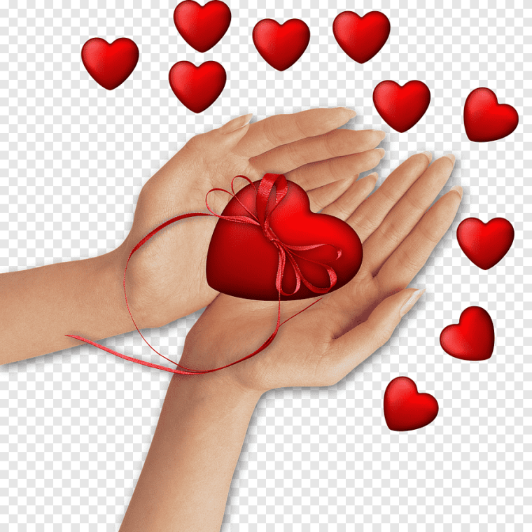 Сердце в руках