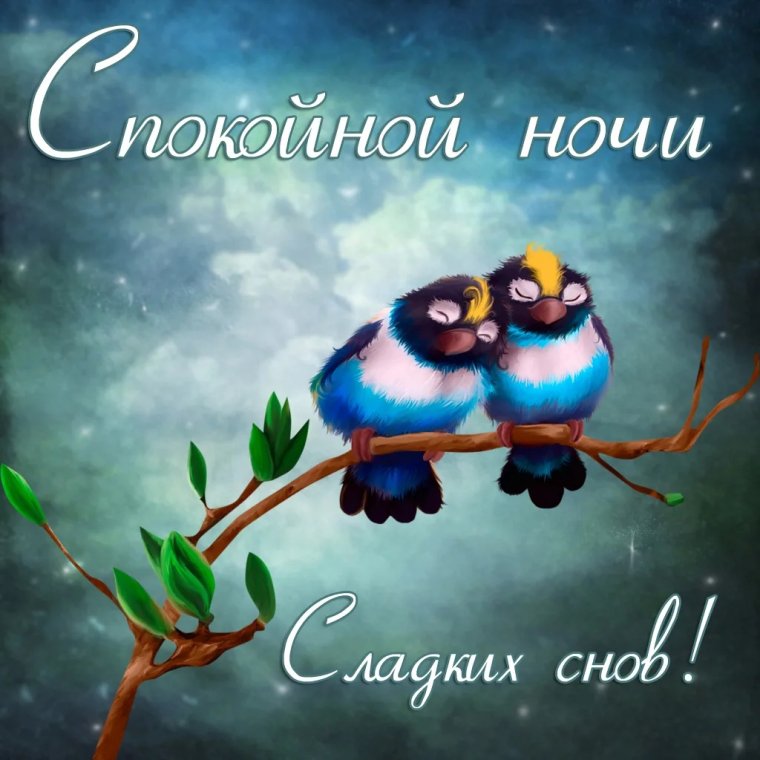 Спокойной ночи