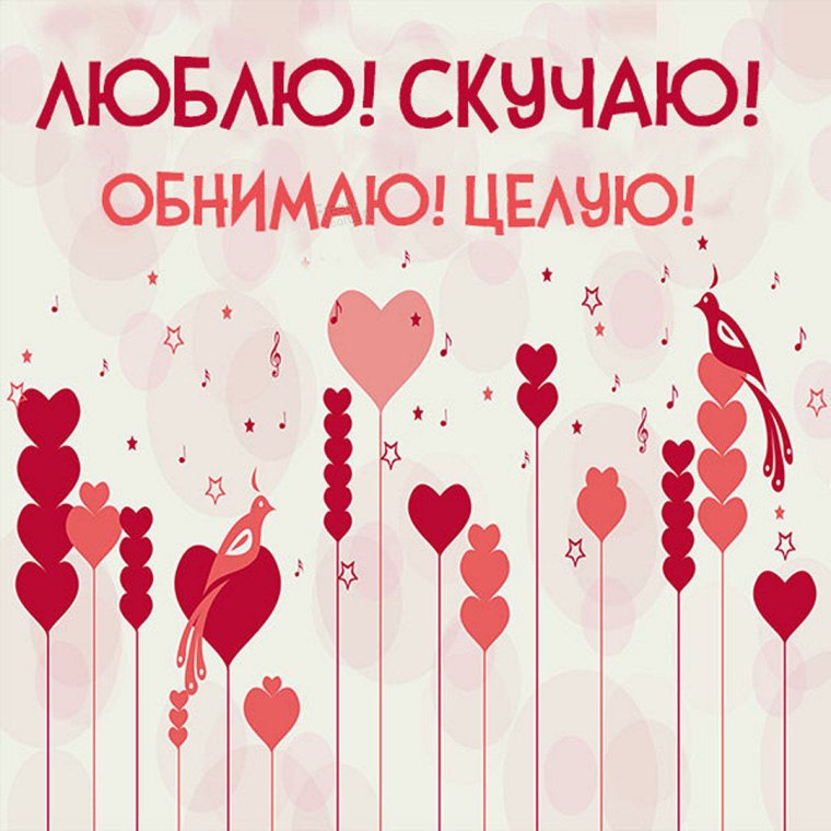 Люблю целую обнимаю скучаю