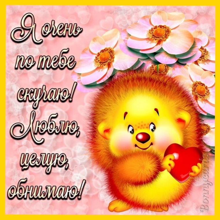 Люблю целую обнимаю