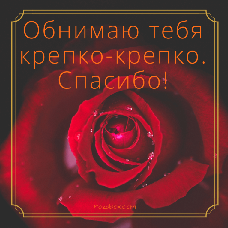 Обнимаю тебя