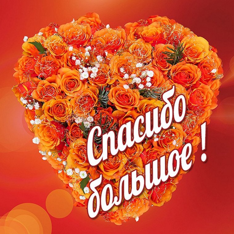 Спасибо родителям на свадьбе