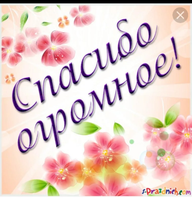 Спасибо за поздравления