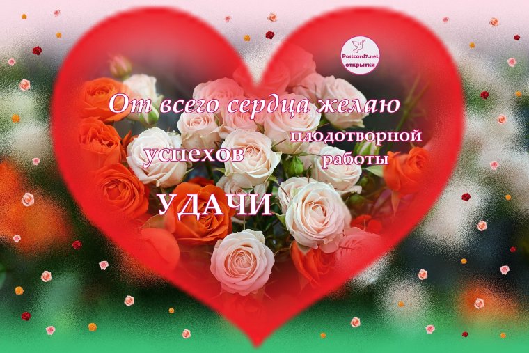 Пожелание удачи коллеге