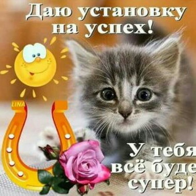 Пожелания удачи и успеха