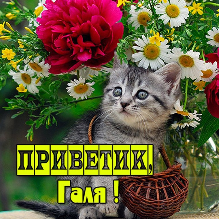 Привет Валентина