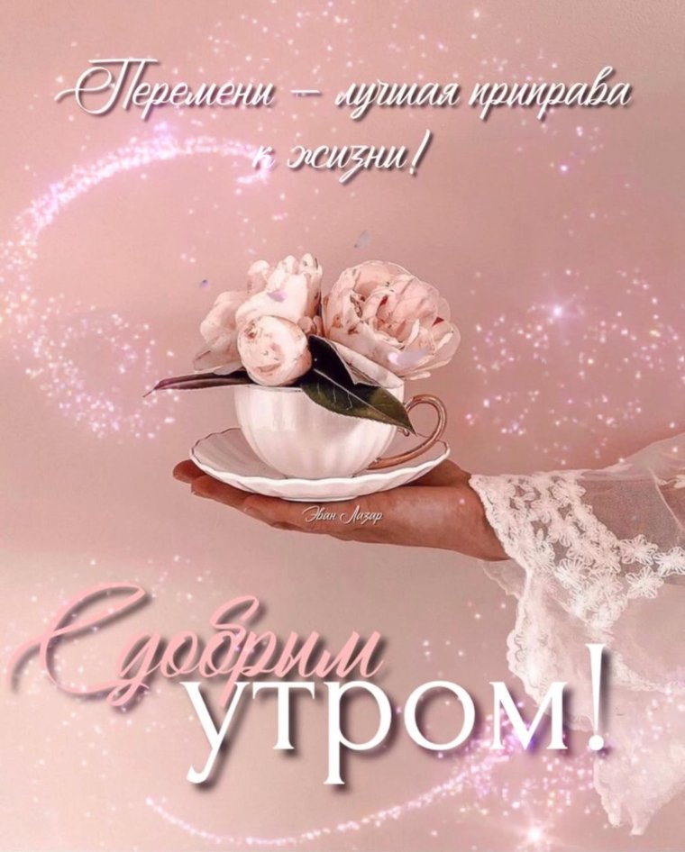 Доброе утро Стикеры красивые