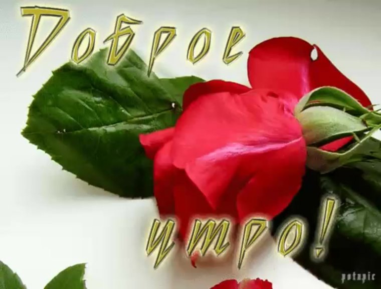 Доброе субботнее утро