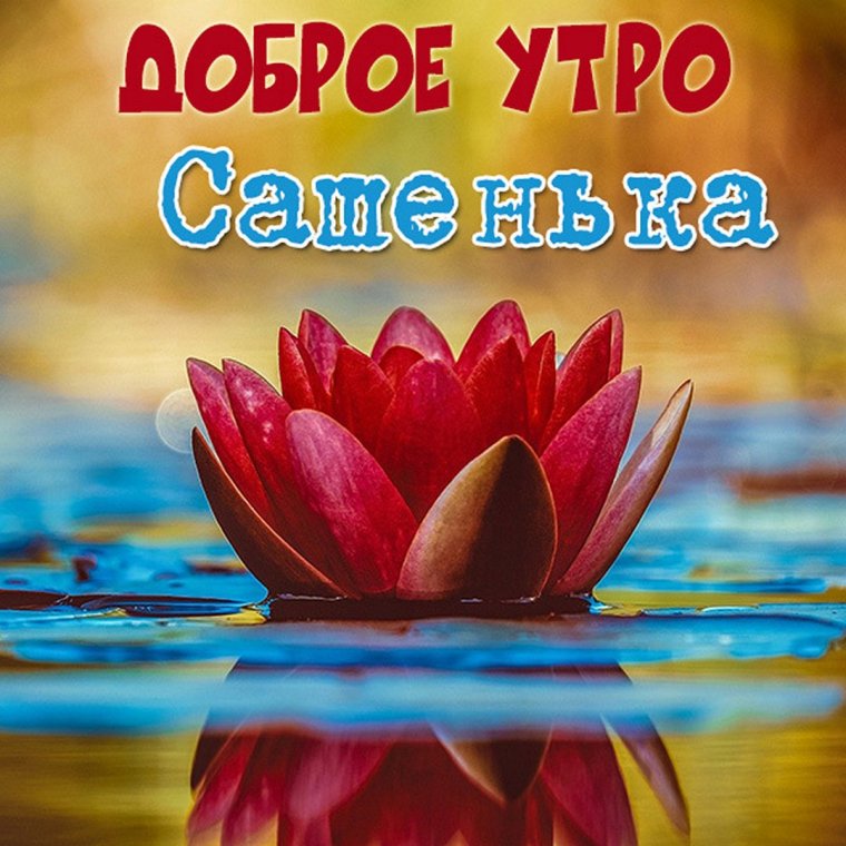 Цветы для Оленьки