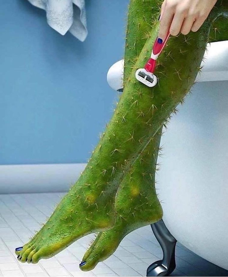 Ноги Кактус