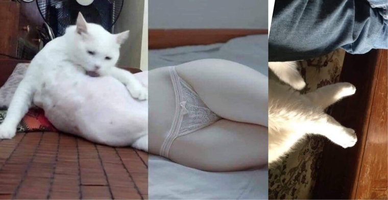 Девушка показывает фак Эстетика