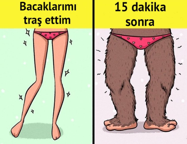 Пикча с котом