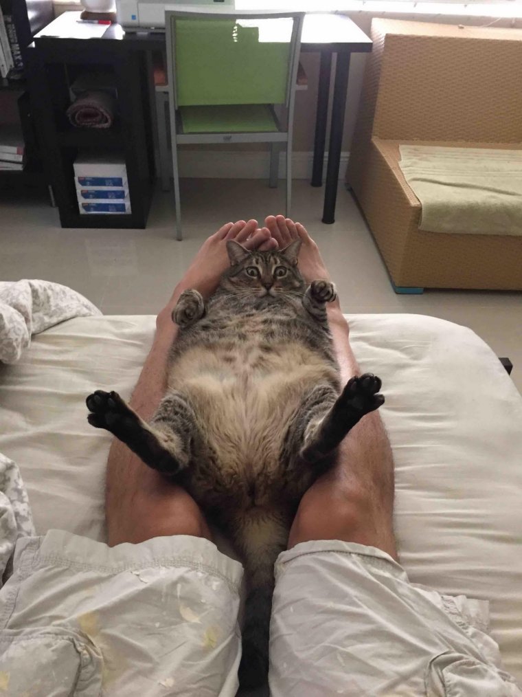 Веселые ступни