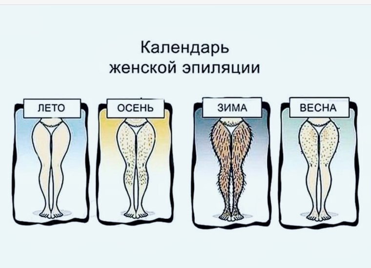 Смешной фак