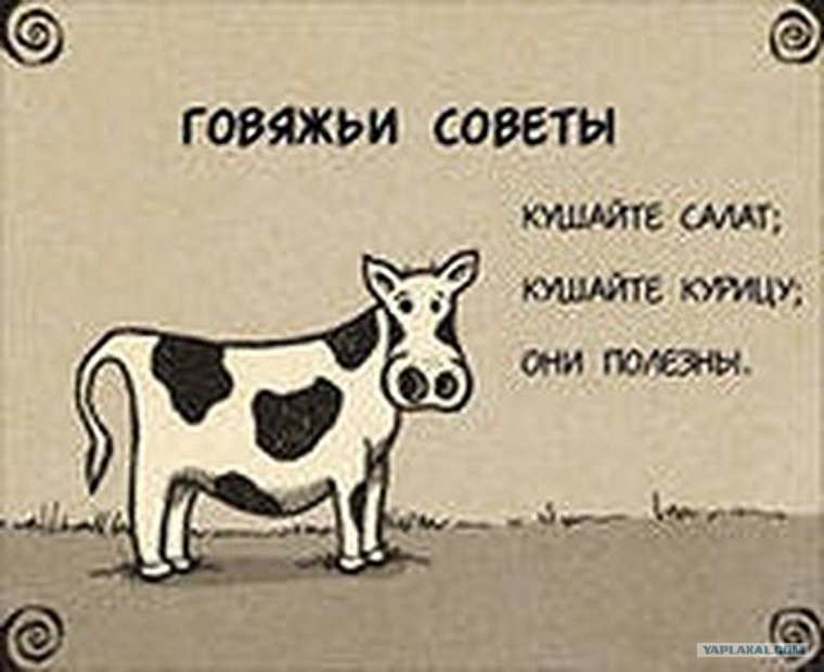 Прикольные советы