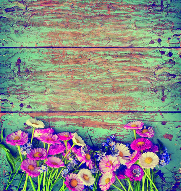 Мудрые советы на каждый день