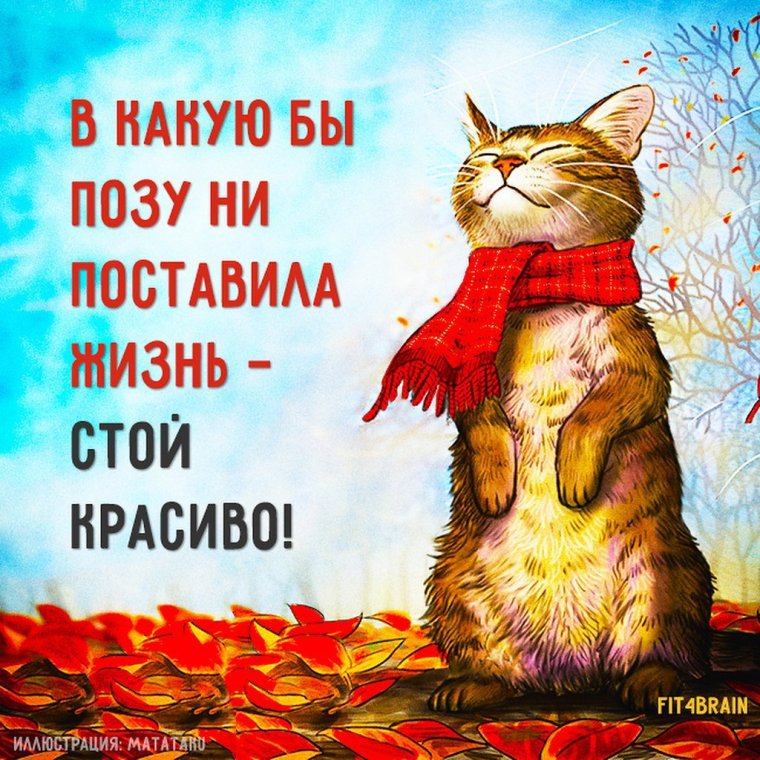 Позитивные цитаты