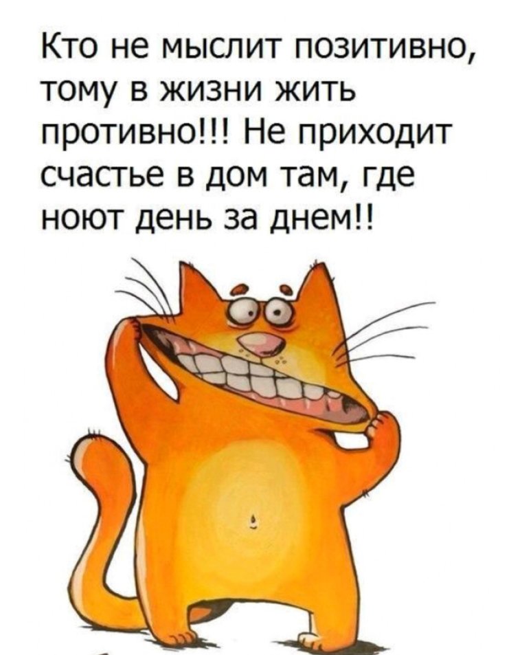 Смешные высказывания